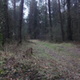 e47f2c DSC07680.JPG thumbnail