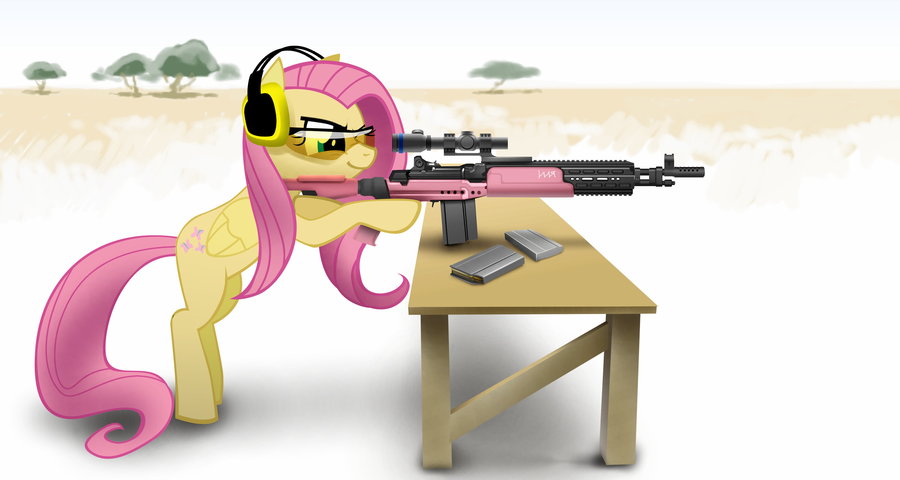 m14 ebr by vombavr-d595bev