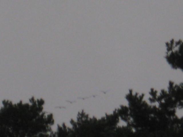 2def72 K640 warbird 001