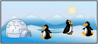 0516717001457000239zsyt3