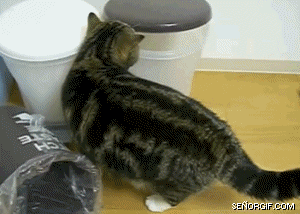 3dce8b original.jpg.gif117
