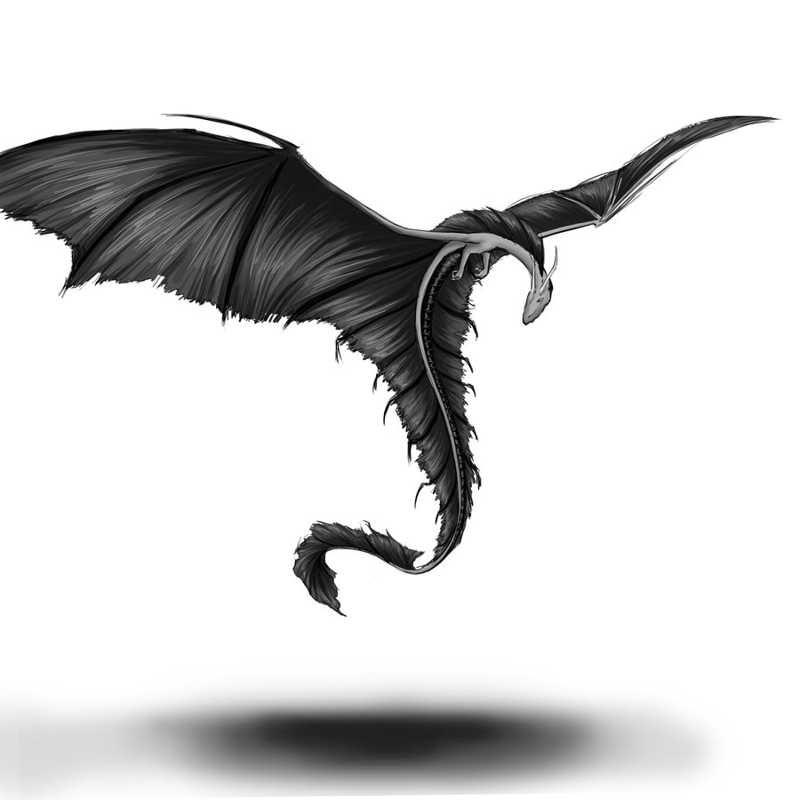 4Iy5d2 Drache2