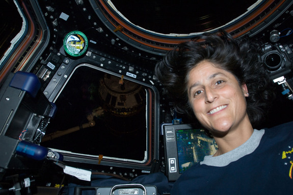 expedition 32 cupola williams