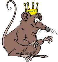 rat king