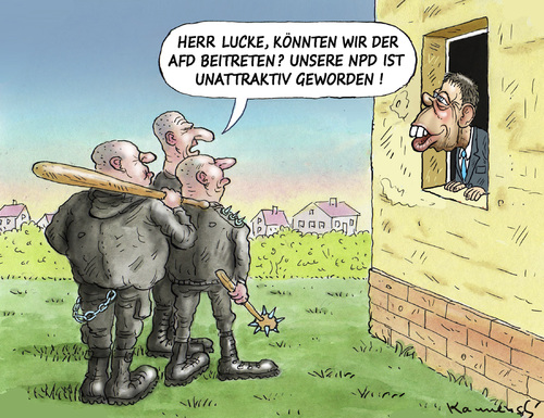 afd beitritsverhandlungen 2300495