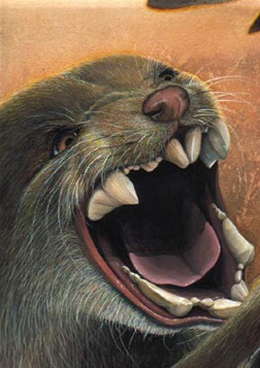 Thylacoleo-carnifex-01