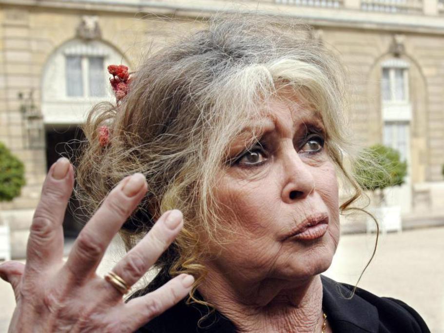 Erinnerungen-Brigitte-Bardot-Tiere-haben