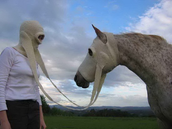 d28b0a animals