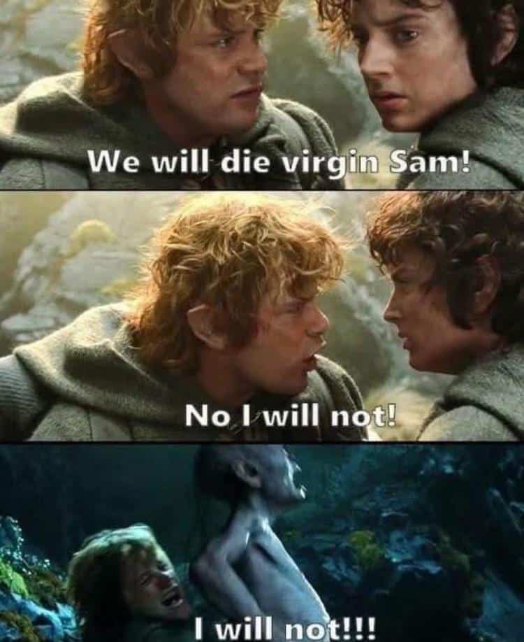 funniest-lord-of-the-rings-memes-39-2