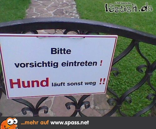 hund-500x375