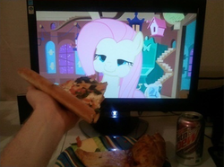 179108 safe fluttershy photo food pizza