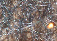 Steel wool microspheres metabunk