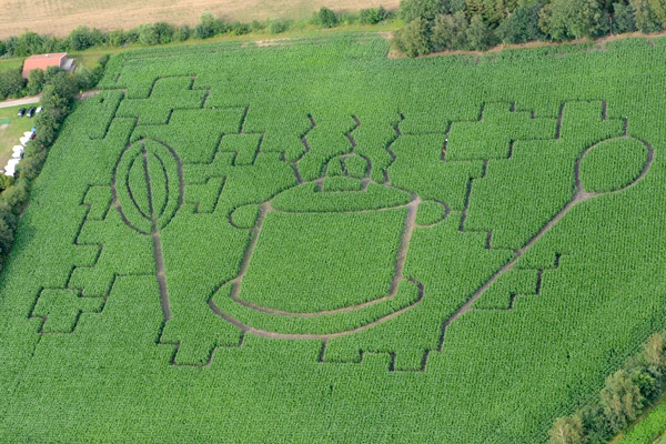 aacb9d maislabyrinth2011