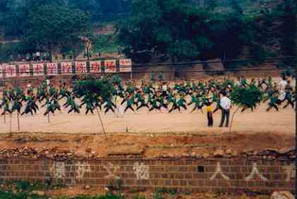 training wushuxuexiao