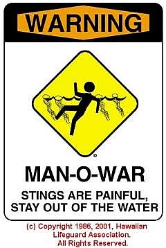 sman-of-war sign