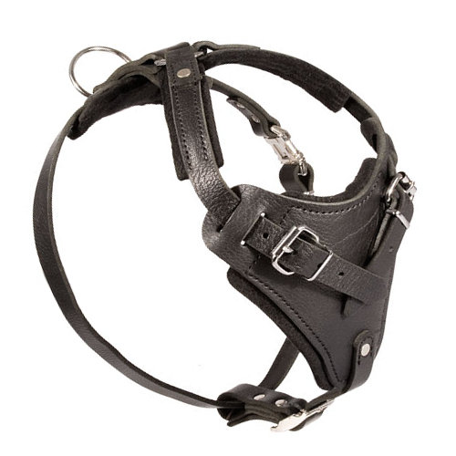 Ledergeschirr-fuer-K9-Hunde LRG