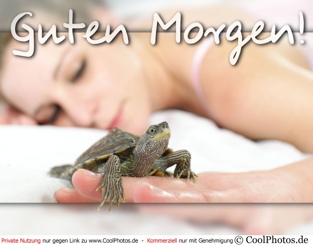 0301 10109 guten morgen sexy