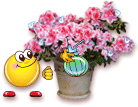 tzktyby7j8a
