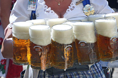 bierschaum 420 fitwidth 489