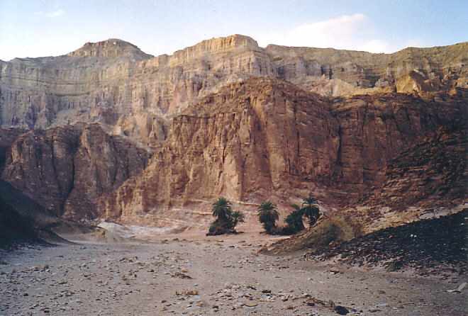 4fa039 sinai2
