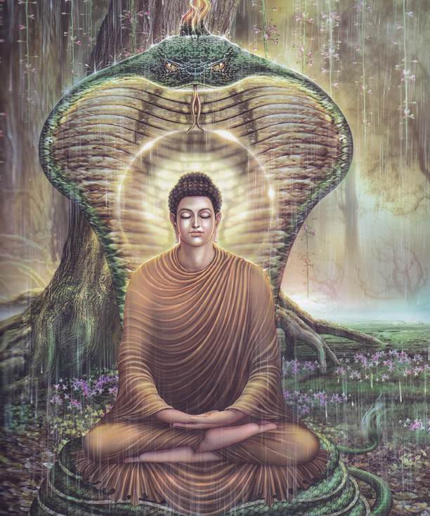 buddhanew110