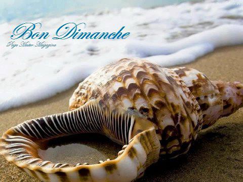 blog-572-bon-dimanche-071012164243-49492
