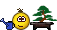 nt16