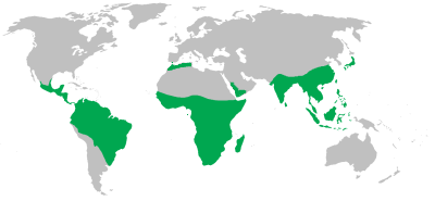 Non-human primate range