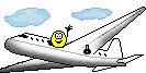 FLIEGEN 43