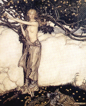 Freya bn