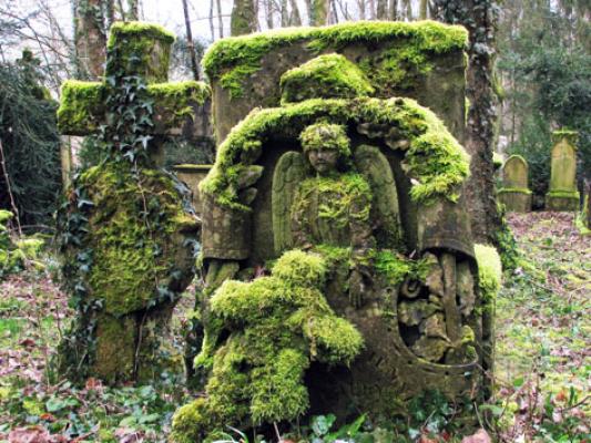 cimetiere-maxey-sur-vaise