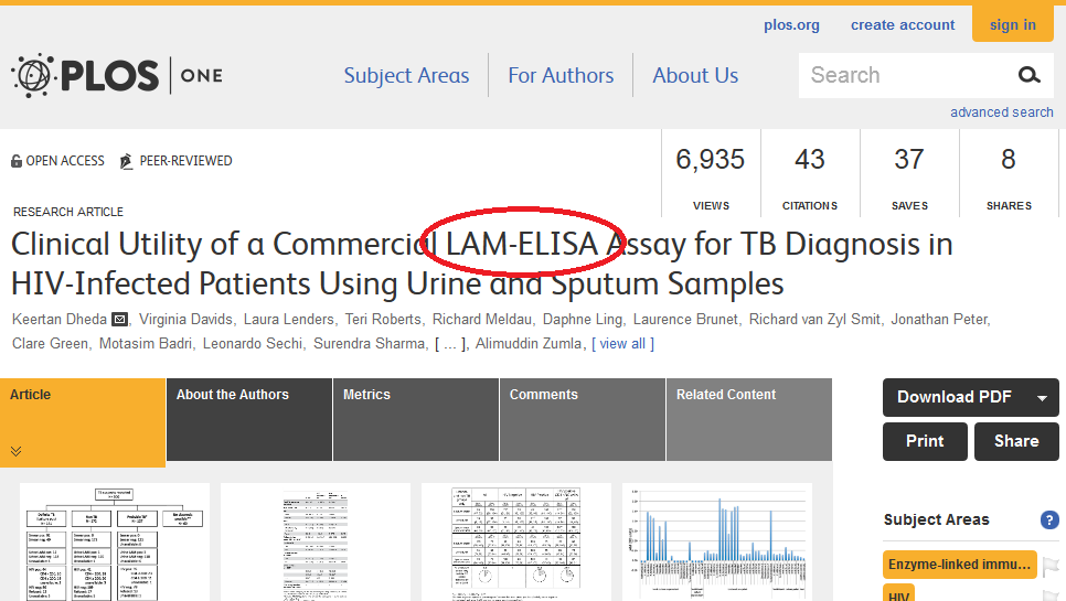 lam elisa
