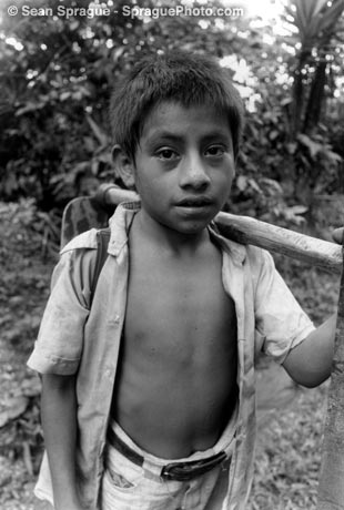 021 20Children 20 20Labor 20Guatemala 20