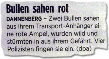 bz bullen