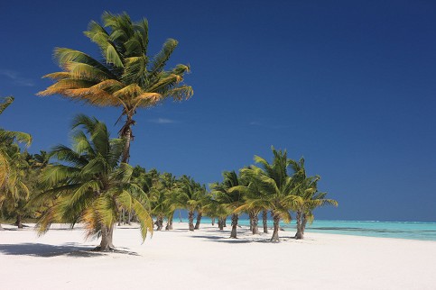 strand dominik jpg 1350974p