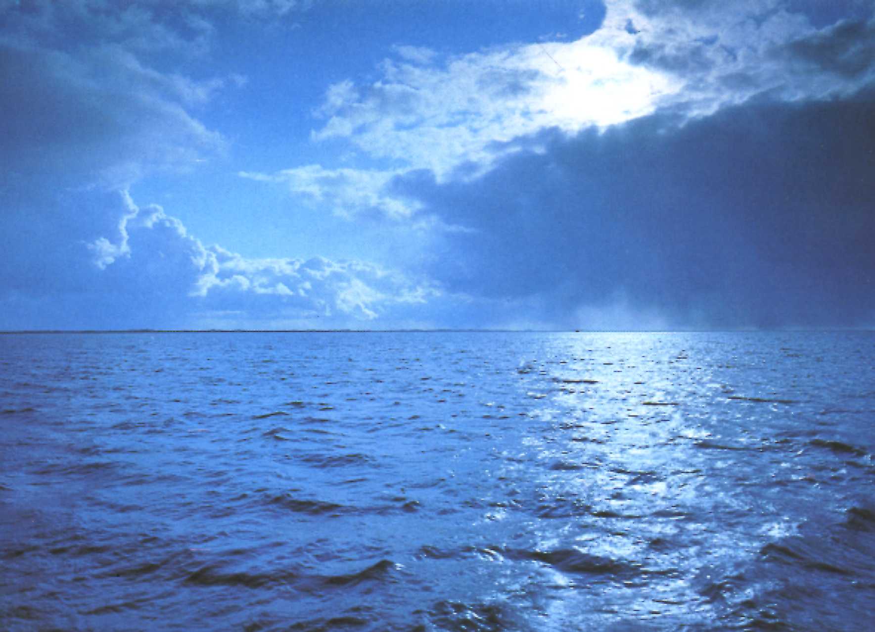 Meer 1