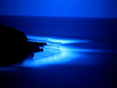 blue-sea-at-night-w32942