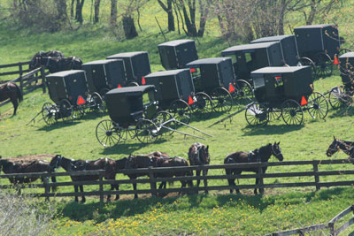 Amish