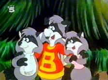 raccoon3