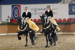 vechta 11 schau
