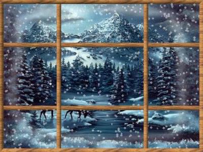 fenster