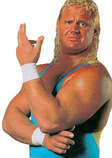 wwf mr perfect