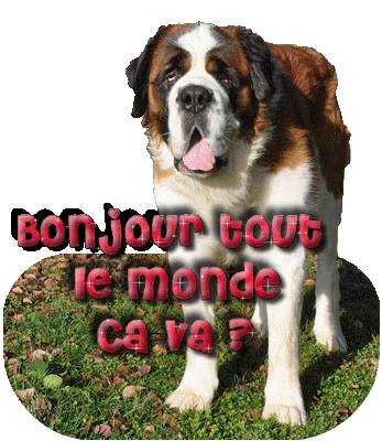 bonjour-tout-le-monde3