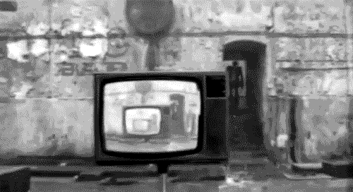53b1e4 tumblr lrfoj9ZpXj1qervbxo1 500