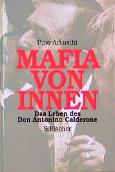 Arlacchi2BMafia-von-Innen