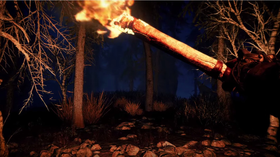 FarCryPrimalNight