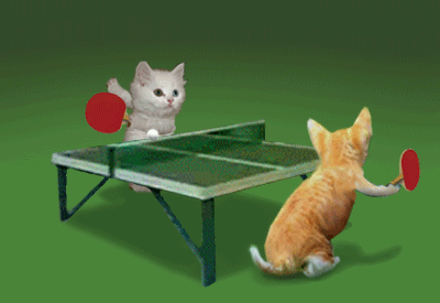 7a9b0f KittyPingPong