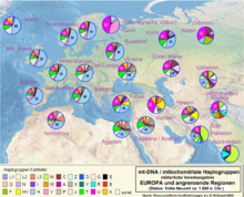 220px-Haplo-mt-Europa
