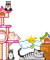 oie overlay