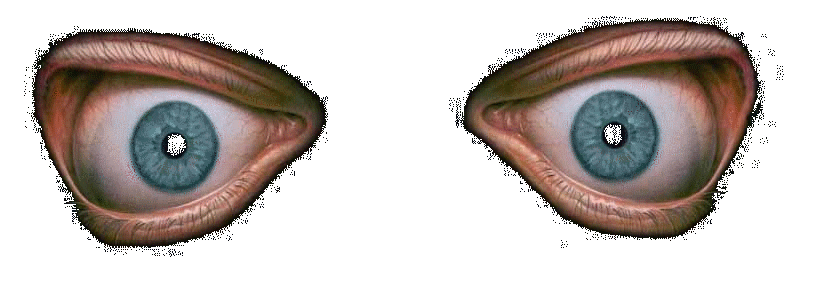 a Augen